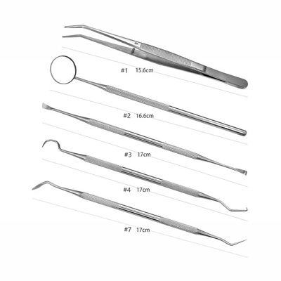 6PC/Set Dental Dentist Prepared Tool Set