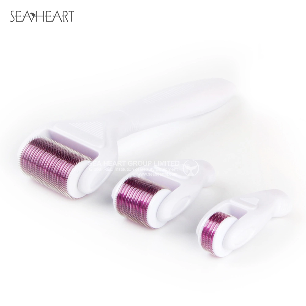 Multifunction Micro Meedle Therapy 4 in 1 Derma Roller Set