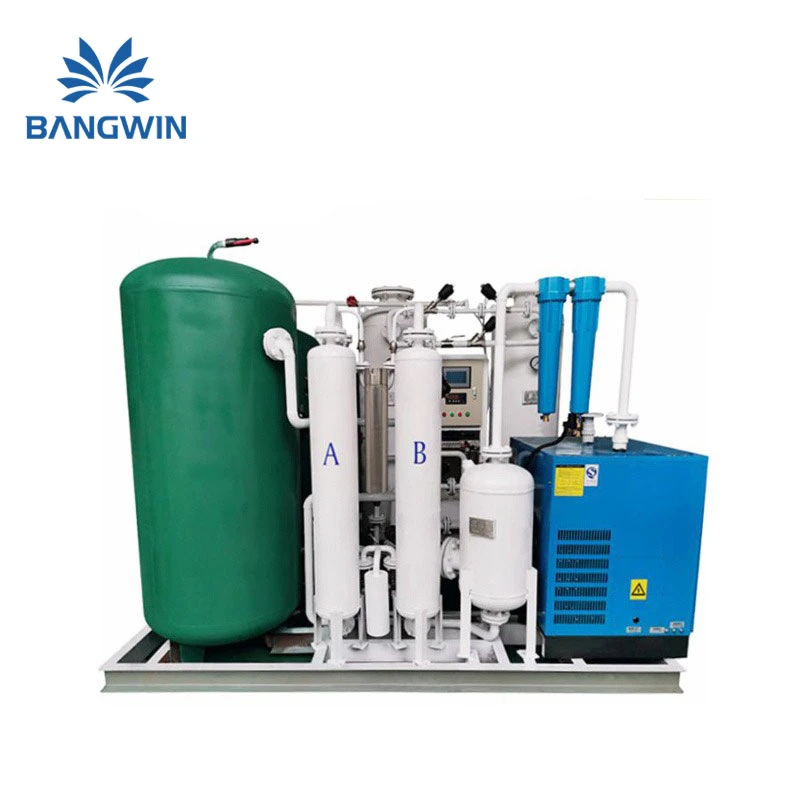 Psa Nitrogen Generator with Containernitrogen Gas Cylinder Filling Station