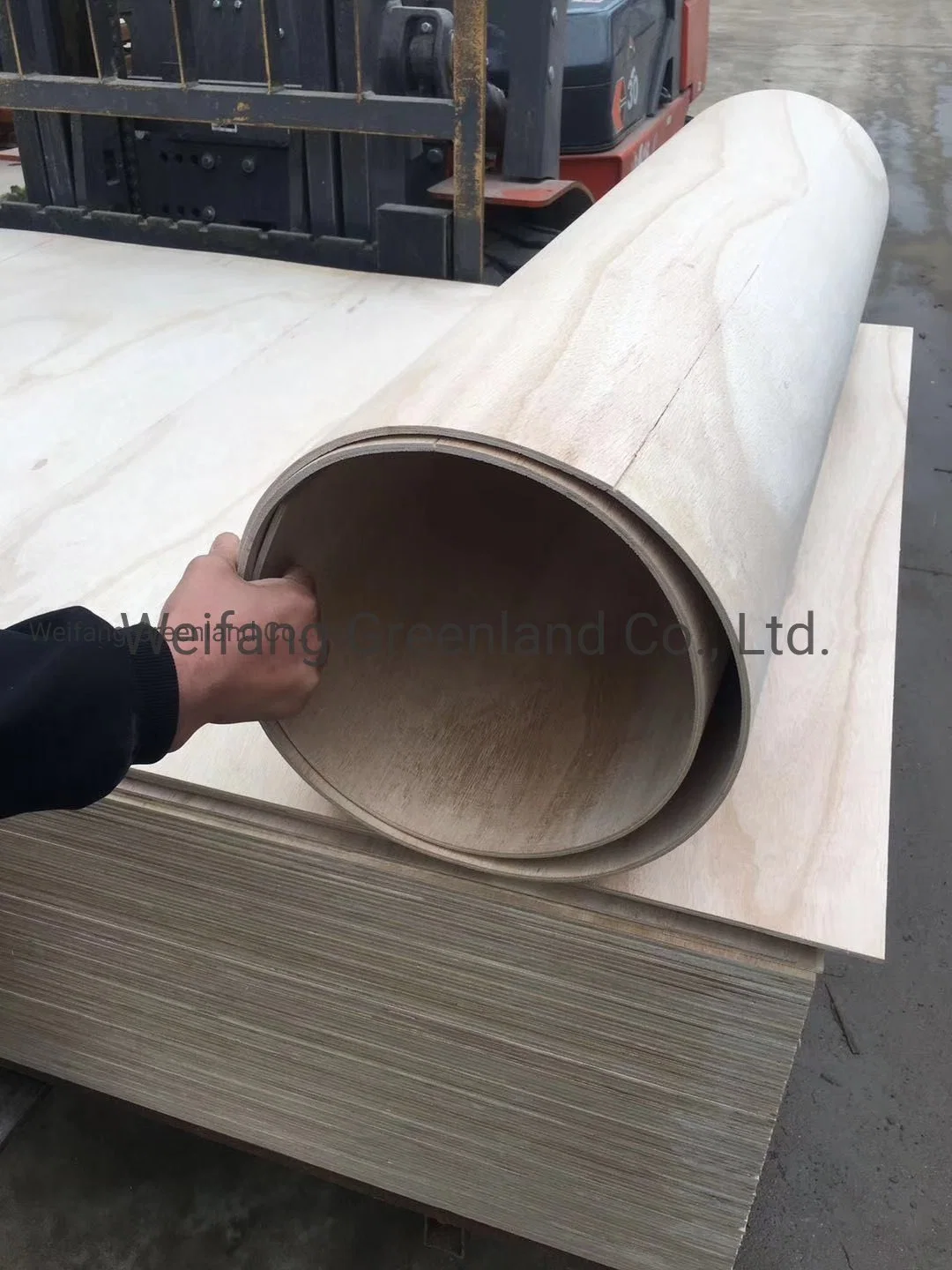 5mm Paulownia Wood Soft Plywood/Flexible Plywood