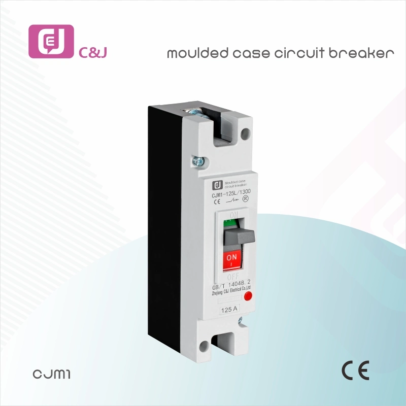 1 Pole 125A Circuit Breaker for Overload Circuit Protection High Breaking Capacity MCCB