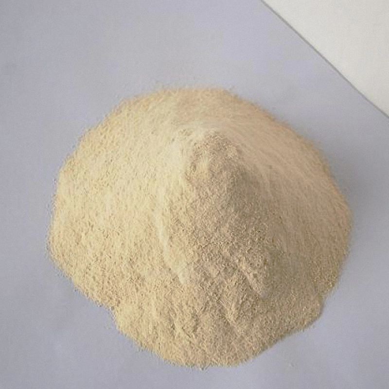 Best Quality Manufaecturer Air Dehydrated Garlic Powder