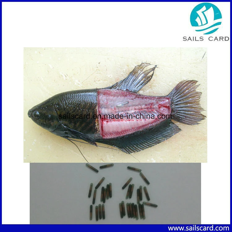 134.2kHz Lf RFID Fish Glass Tag with Animal ID Microchip