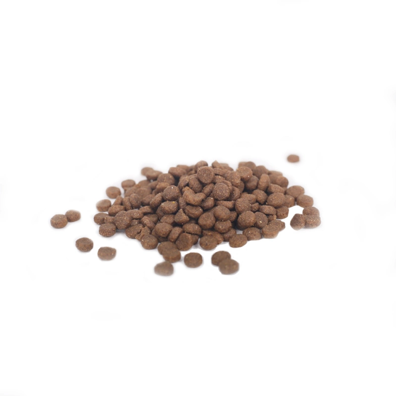 Wholesale/Supplier of High-Quality Natural Beef Formula Dog Food and Pet Food by Manufacturers