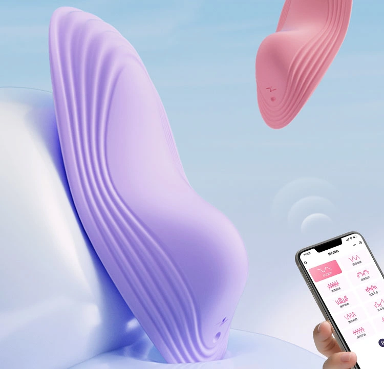 Panty Vibrator Großhandel wiederaufladbare magnetische vibrierende Höschen Sex Spielzeug für Frauen