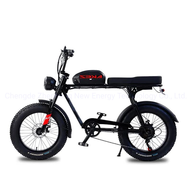 2023 China New 48V13ah 20-Inch Snow Tires Cheap Ebikes Bicycle Motorbike Electric Dirt Bike for Adults