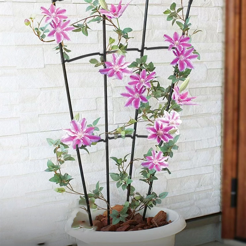 Fan-Shaped Plant Trellis Liana Plants Flower Support Climbing Rack Garden Trellis for Potted Plants