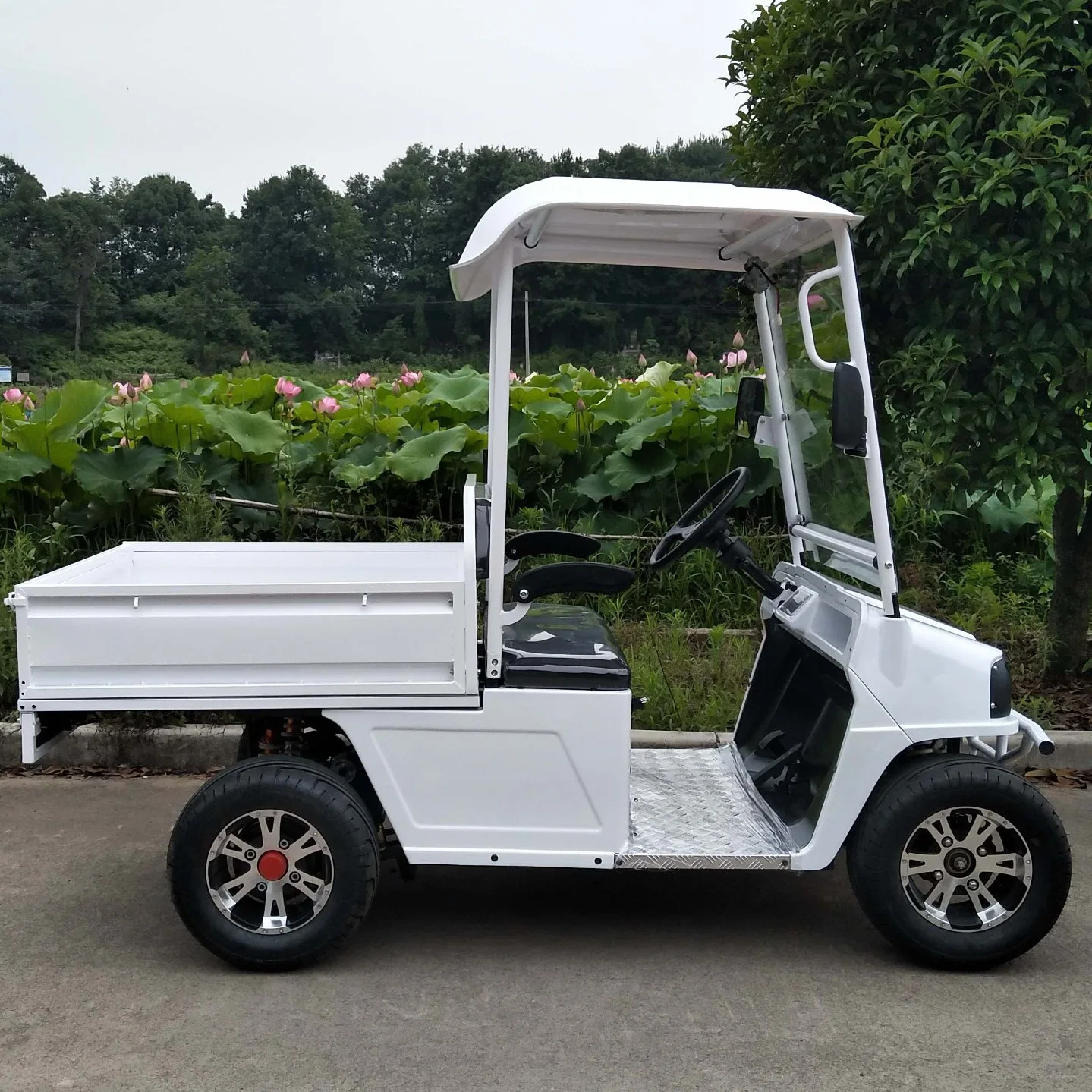 Новый дизайн Оптовая торговля мобильность Scooter Мини Utility Golf Carts Electric Пикап. Самосвал