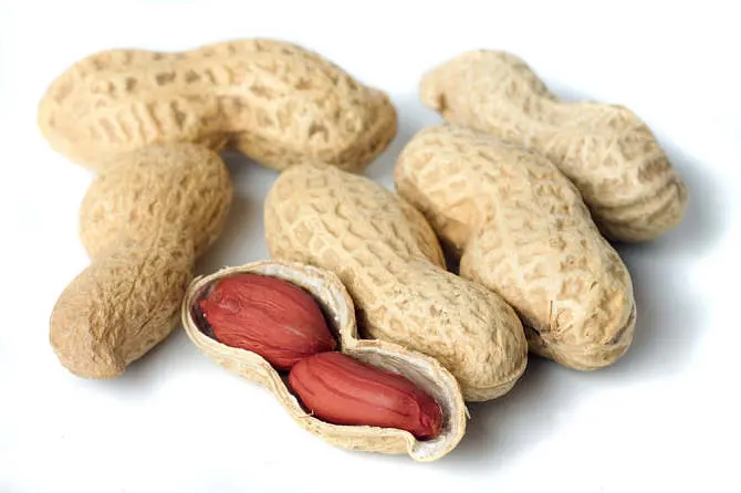 Bulk Price Peanut Shell Extract CAS 491-70-3 Luteolin 98% Powder