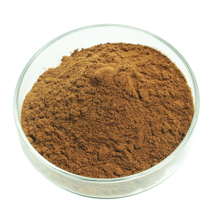 Top Quality Polysaccharides 20% 30% 50% Reishi Mushroom Extract