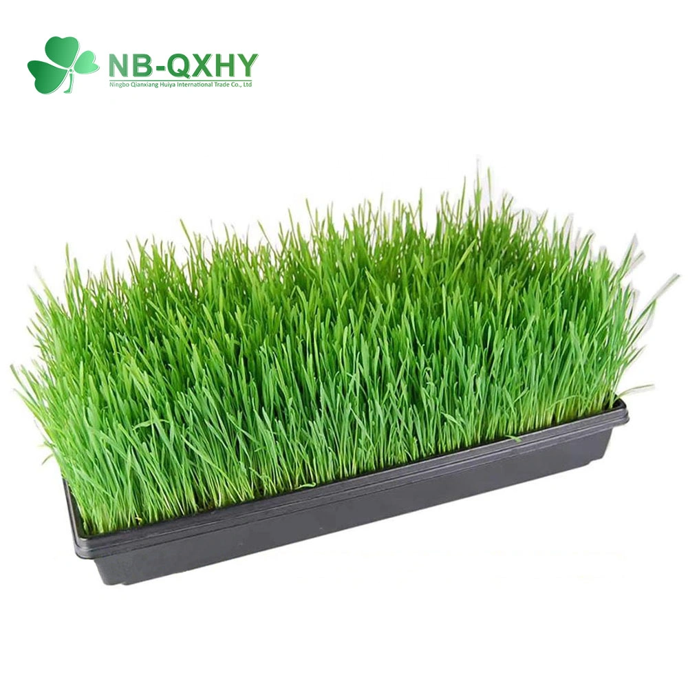 Wholesale/Suppliers Greenhouse Plastic Seedling Garden Nursery Tray Pots