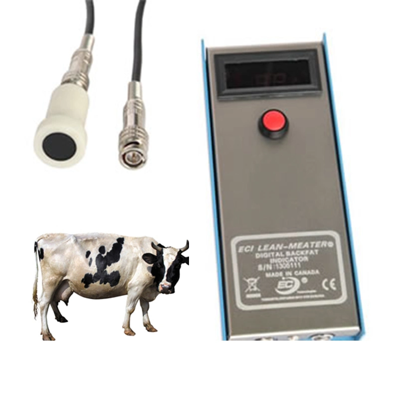 Instrument de mesure du lard dorsal vétérinaire des animaux de l'utilisation de l'épaisseur du lard dorsal de l'EFP Portable mètre