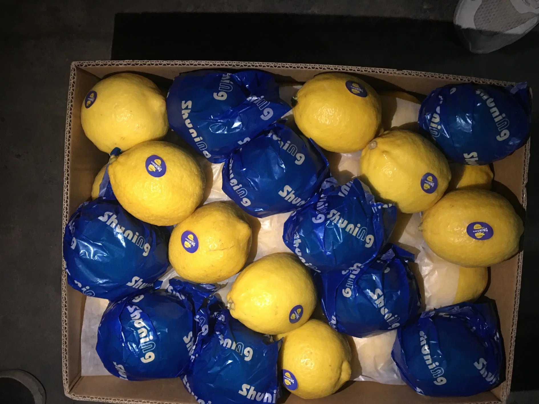 Wholesale/Supplier Eureka Lemon Fresh Lemon