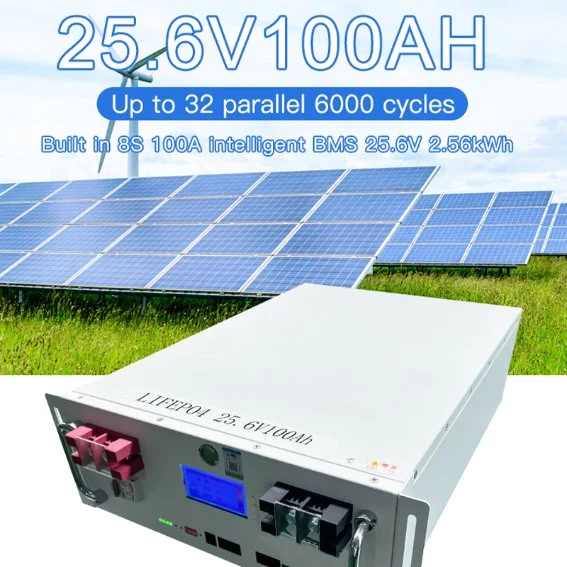 OEM Manufacturer Rack Type Battery 2.56kw Energy Storage Battery Lithium 25.6V 100ah