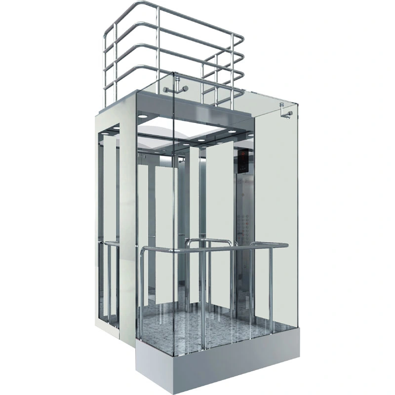 1000kg 1m/S Simple Style Sightseeing Elevator
