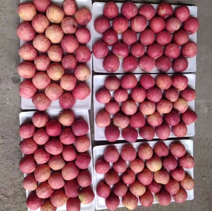 Frischer roter Apfel mit schöner Qualität