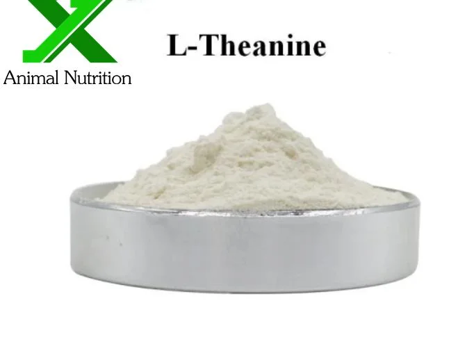 شهادة عضوية حامض أمينو مستخرج الشاي الأخضر L-Theanine Powder L ثياين