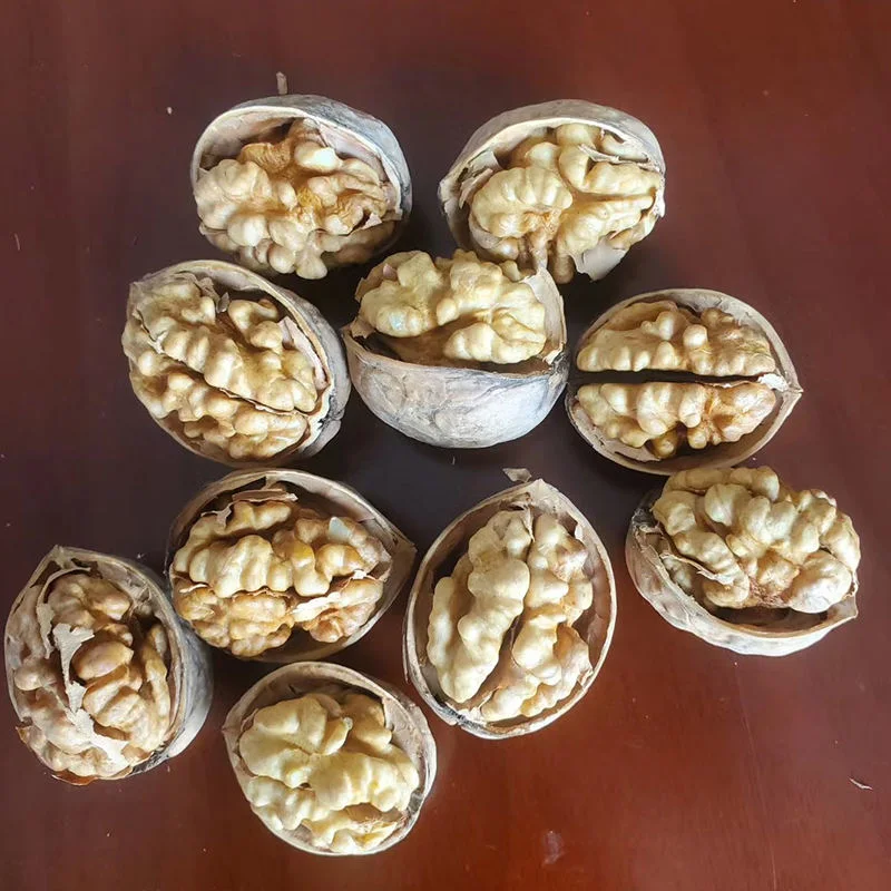 Most Popular Nuts Walnut Without Shell Organic Raw Walnut