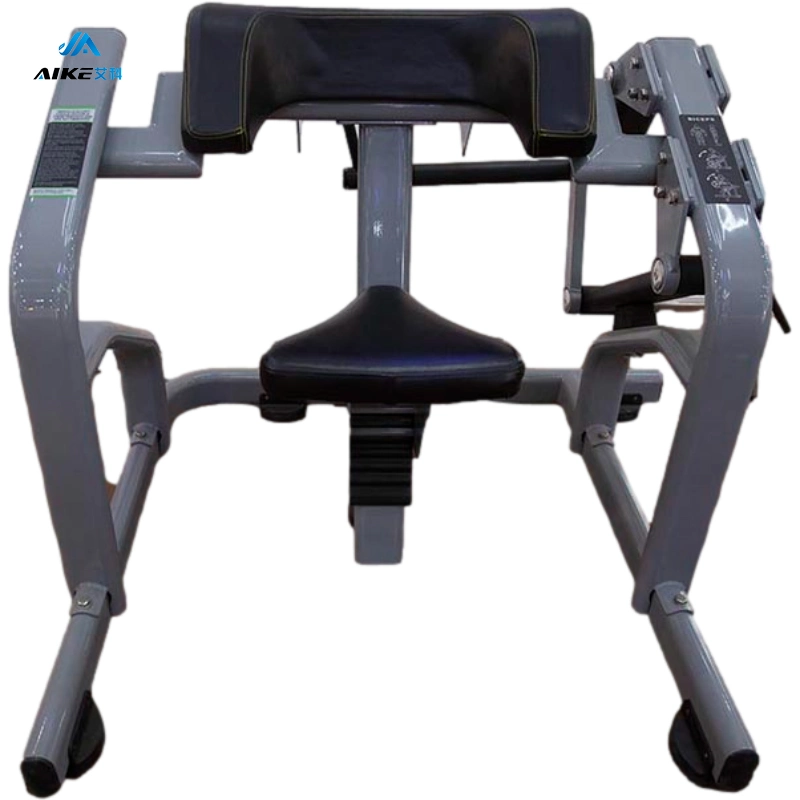 2021 Latest Commercial Fitness Machine with Strong Body, Biceps Curl Fitness Equipment