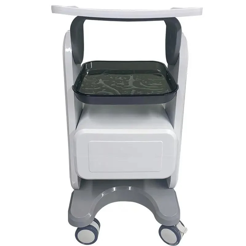 Desktop Beauty Equipment Trolley Beauty Salon Möbel Salon Trolley Wagen Stand Double Layer Beauty Salon Trolley