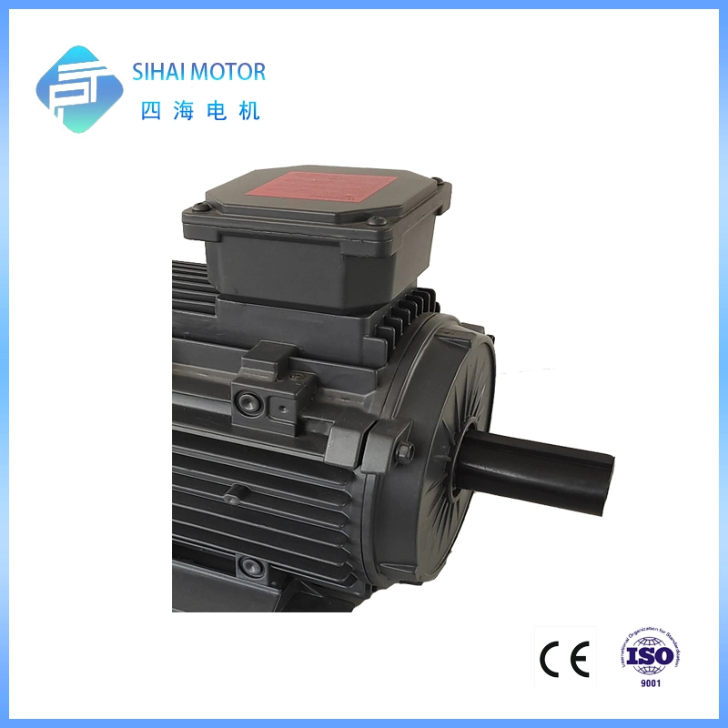 22kw 2 Pole High Efficiency AC Engine Three Phase Motor