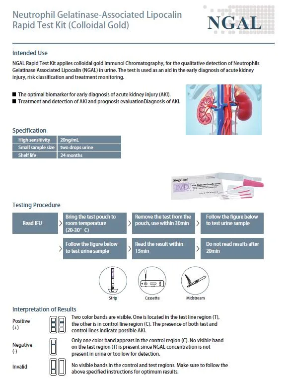 ODM OEM Neutrophil Gelatinase-Associated Lipocalin (NGAL) Elisa Kits for Kidney Injury