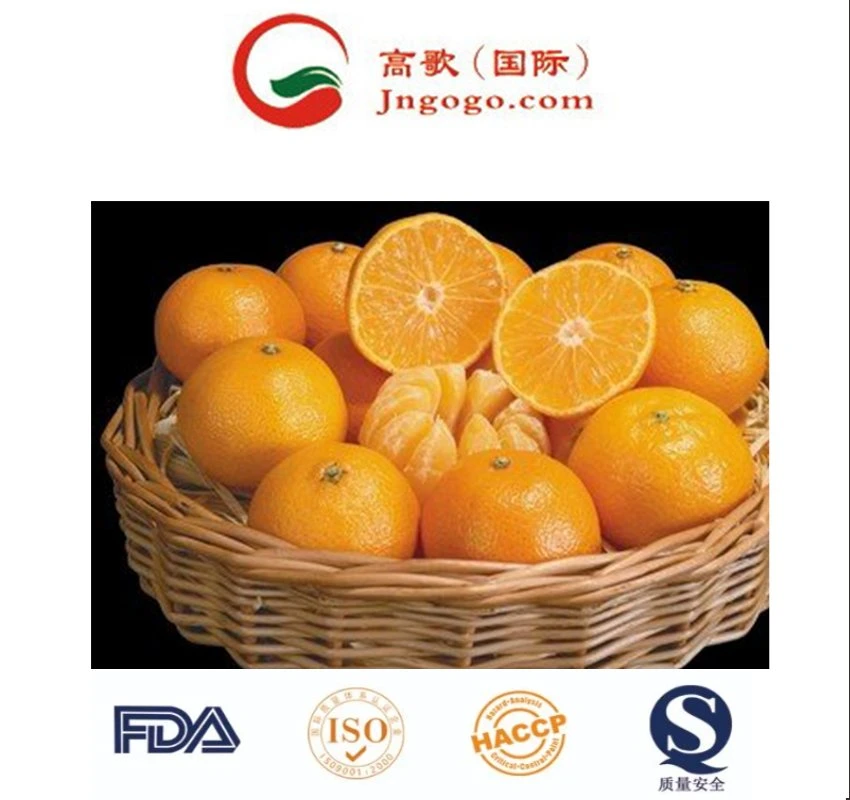 High quality/High cost performance Export Wholesale/Supplier Cheap Tangerines Sweet Fresh Orange