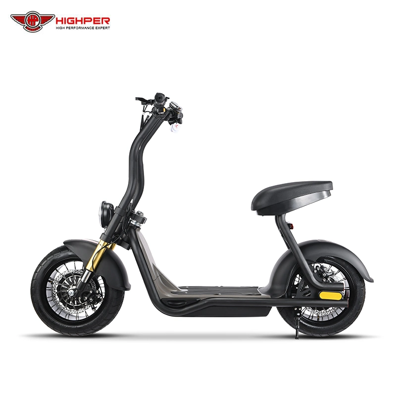 Adult Fat Tire Electric 2-Wheel Electric off Road Scooters 800W 48V