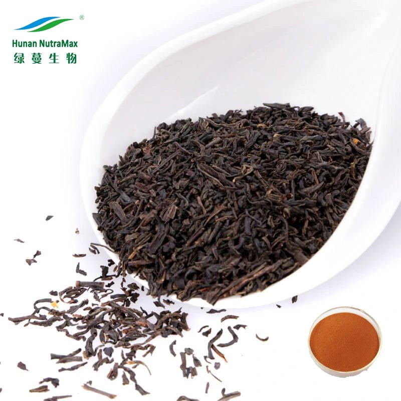 Food Grade Tea Extract Black Tea Extract 20% 30% 40% Theaflavins