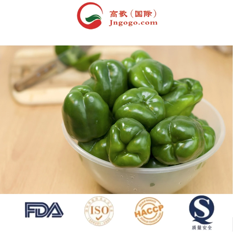 Superior High quality/High cost performance  Pepper Red Chili Seed Chili