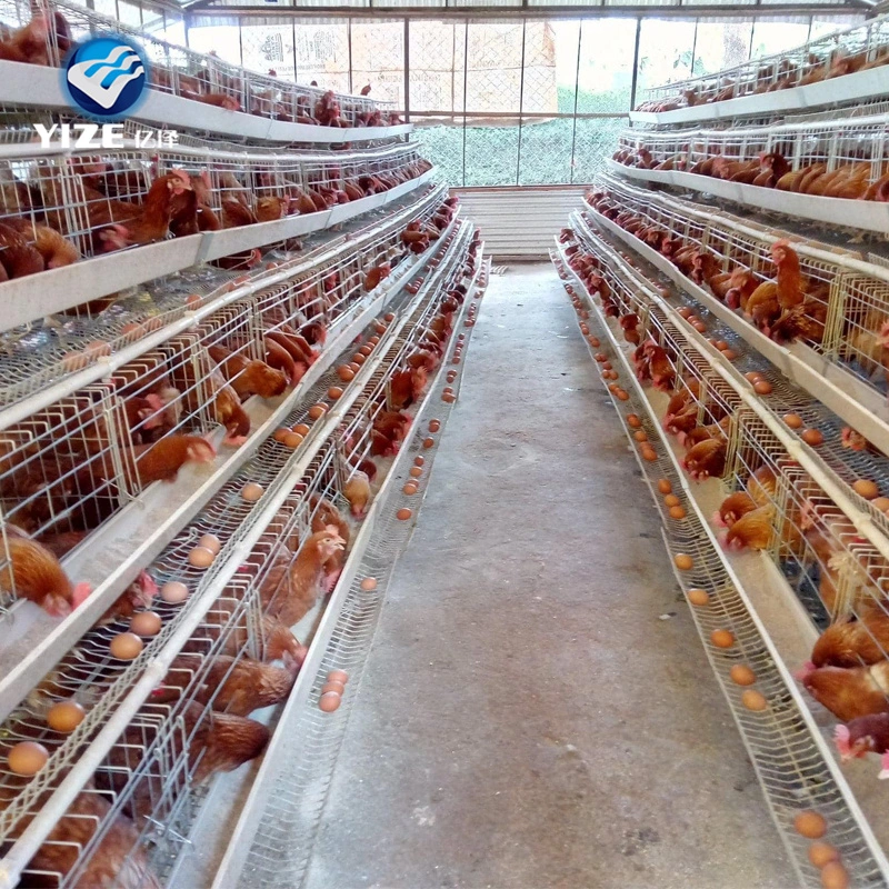 Yize Chicken Layer Cages heißen Verkauf in Ghana mit voll Set Zubehör und automatische Trinkfütterung