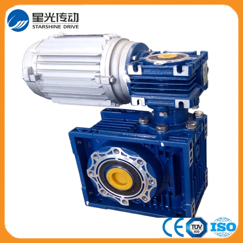 Double Stage Worm Gearbox for Packing Line Transmission