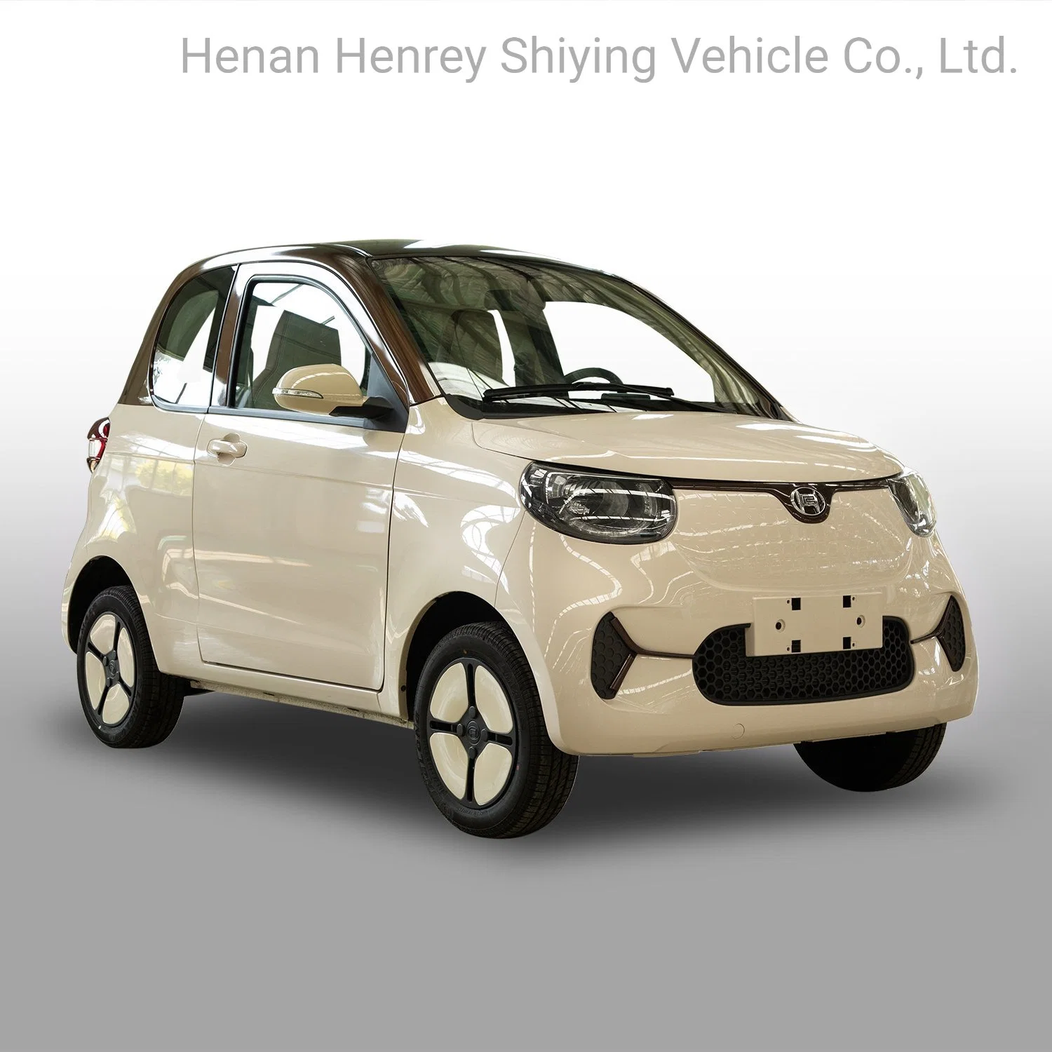 Hotsale 2 Seats EV for Family Electric Vehicle Electric Car
