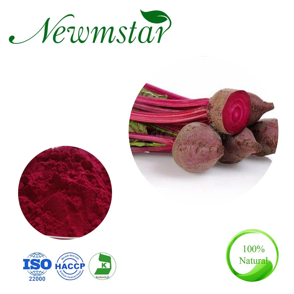 ISO Certified Plant Extract/ Organic Beetroot Extract / Betaine Beet Root Extract / for Lowering High Blood Pressure