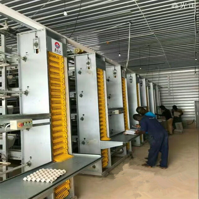 Self Span Automatic Steel Poultry Farm System with Control Center