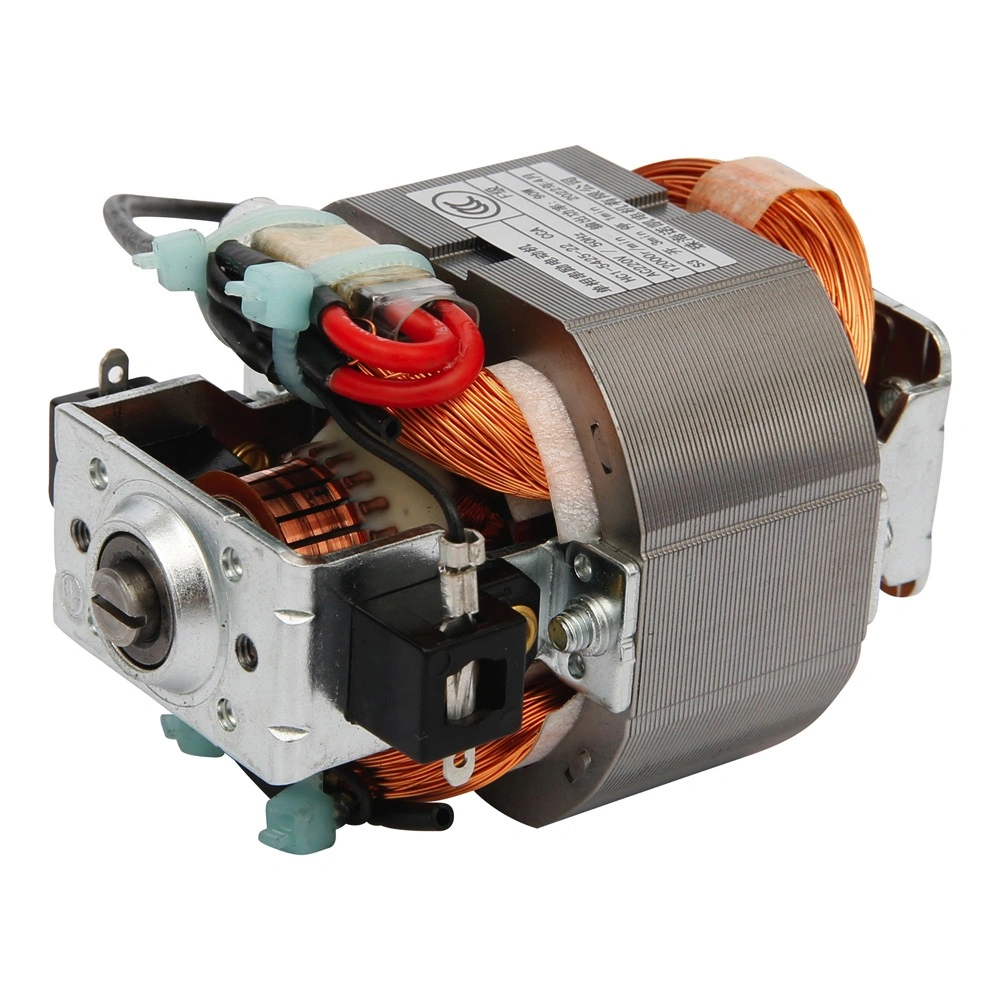 National Standard Universal Electric Blender DC Motor