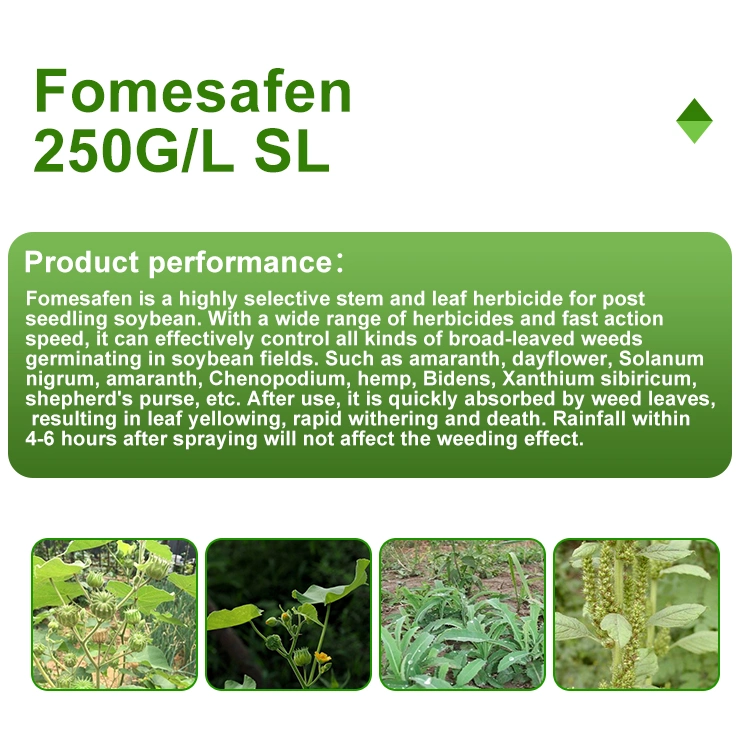 Herbicide Fomesafen 250g/L SL CAS 72178-02-0