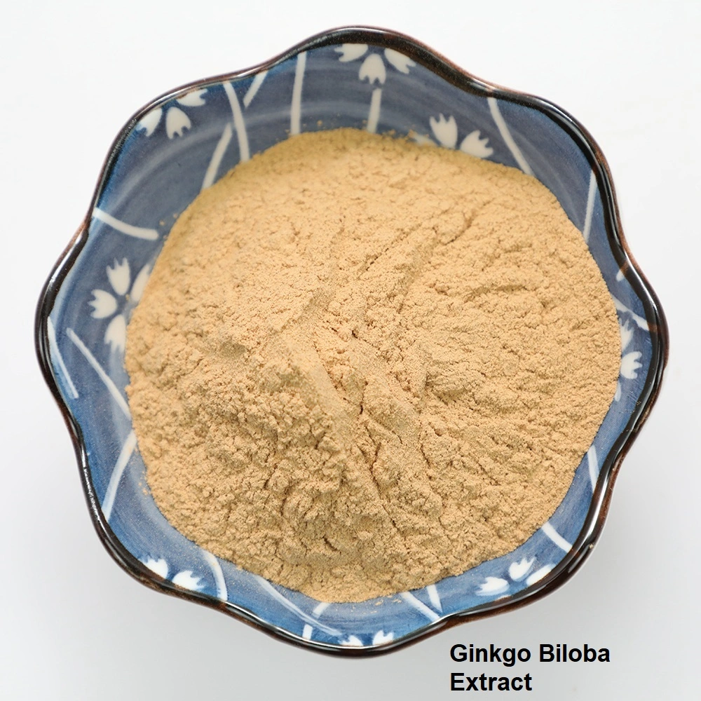 Ginkgo Biloba Extract 24/6/5ppm Ep, USP for Preventing Dementia