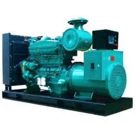 Experienced Supplier Electric Power Supply Portable Natural Gas Generator