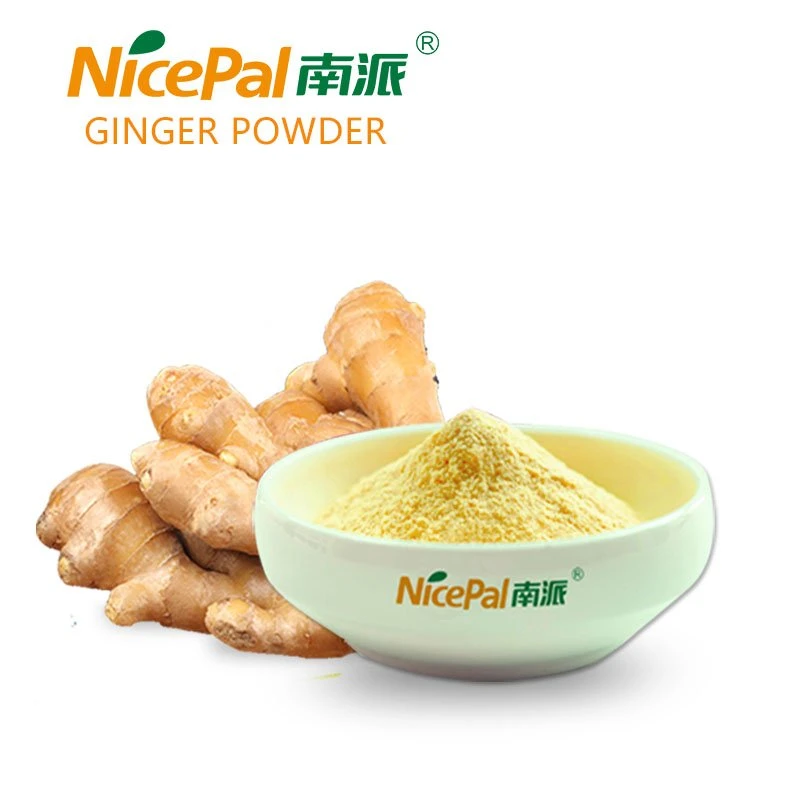 Spray Dried Ginger Powder with Good Solubility