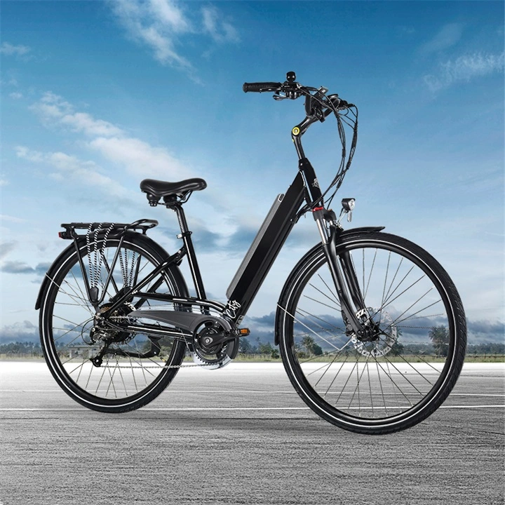 36V Electric Bike with CE Certificate En15194 Ebike for Europe