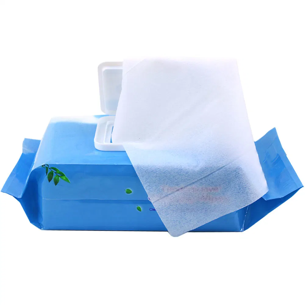 Good Quality Exquisite Skin Gentle Care Wet Wipes Alcohol Free