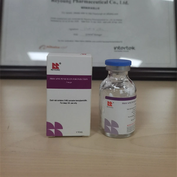 High quality/High cost performance  Procaine Penicillin for Injection/GMP/OEM