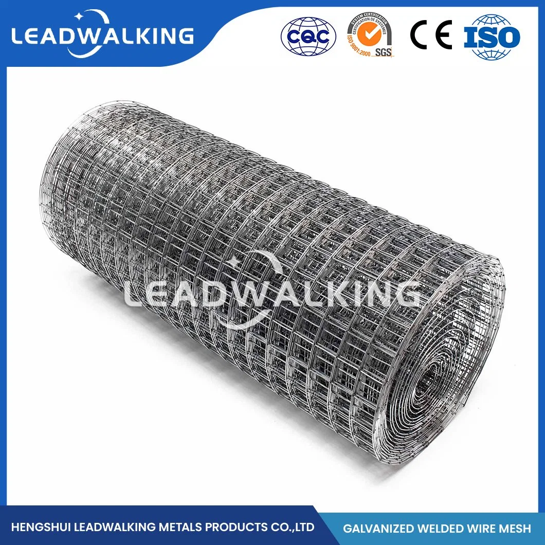 Leadwalking 16 Gauge Weld Mesh Factory OEM Customized Plastic Coated Welded Wire Mesh Roll 2X2 Galvanize China 19.0X19.0mm 1/4 Inch Galvanized Welded Wire Mesh