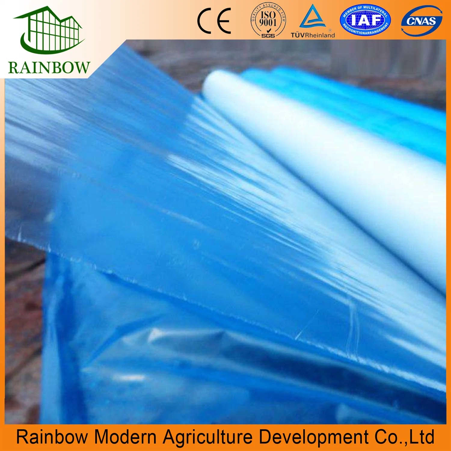Plastic Film for Greenhouse Green House Plastic Agricultural Film
