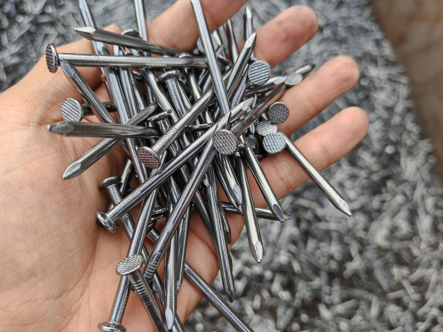 Flat Head Bright Common Nails/ Iron Nail/U Type Nails/Framing Nails/Coil Roofing Nails