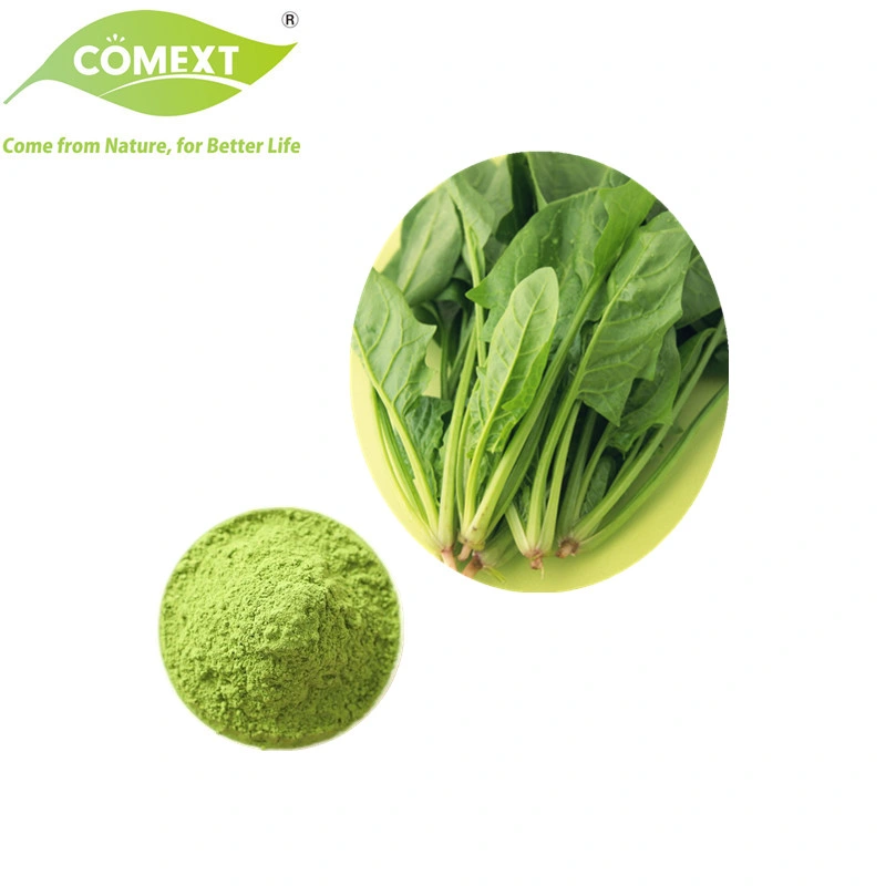 Comext Best Price Free Sample Vegetable Powder High quality/High cost performance 100% Natural Pure Spinach Powder