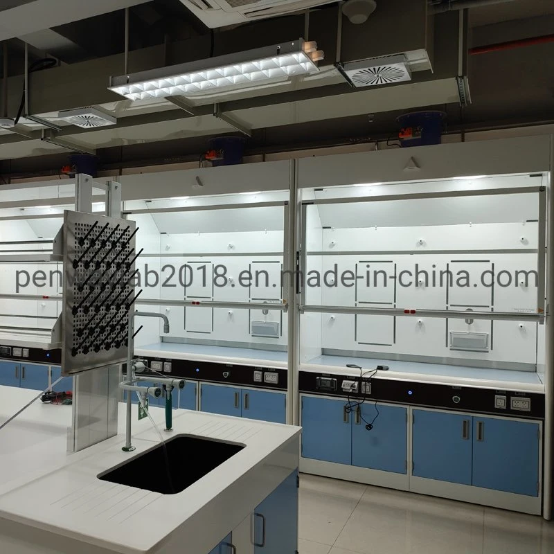 Escola de boa qualidade Química Biologia física Lab Fume Hood