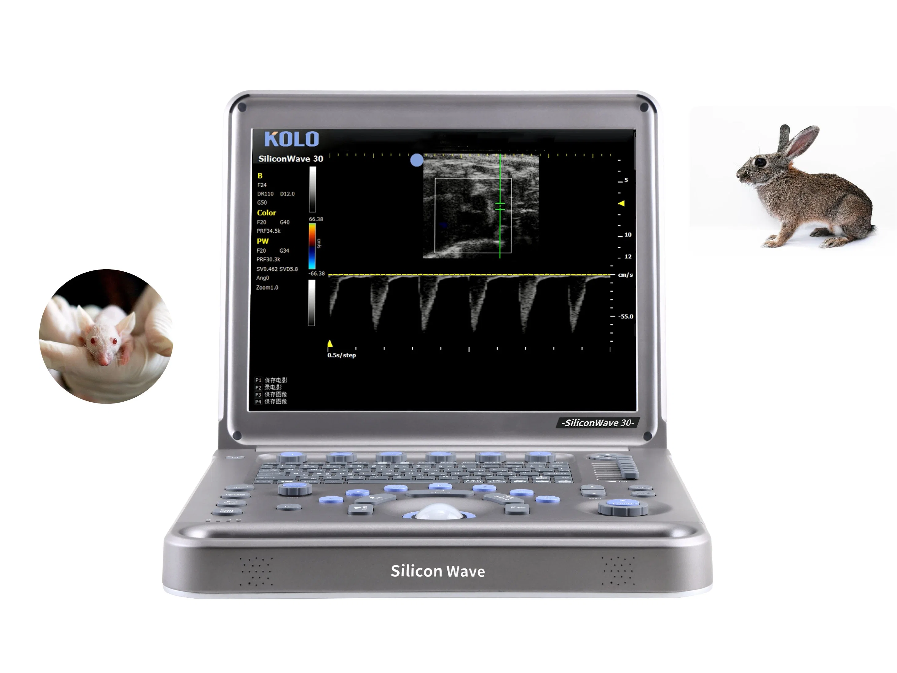 C/PW Mode Handheld Ultrasound Scanner for Laboratory Animals