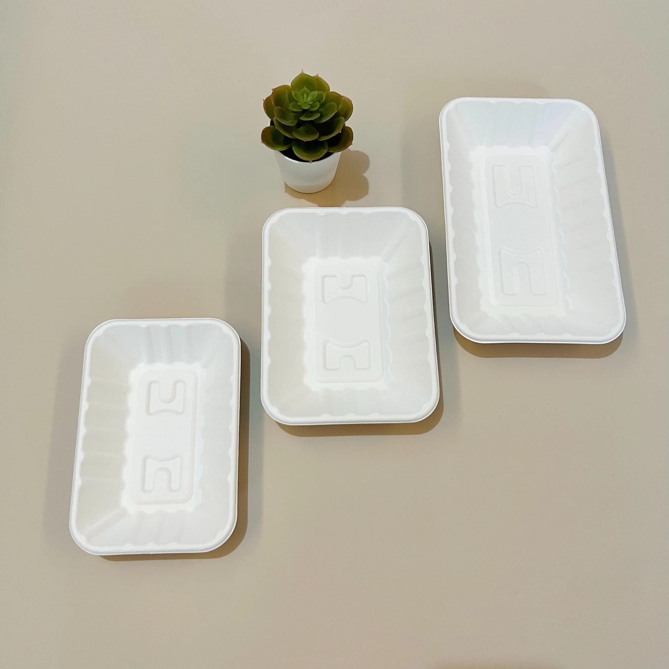 17s Tray Sugarcane Bagasse Dishes 100% Biodegradable Disposable Tray Factory Supply